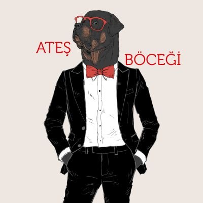 Atesbocegizong's profile picture. Sokak Hayvanları, Çevresel Sorunlar ve Toplumsal konularda iyilik çalışmaları yapan Gençlik Oluşumu! @atesbocegider