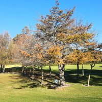 Tania (@tuhzyl) 's Twitter Profile Photo