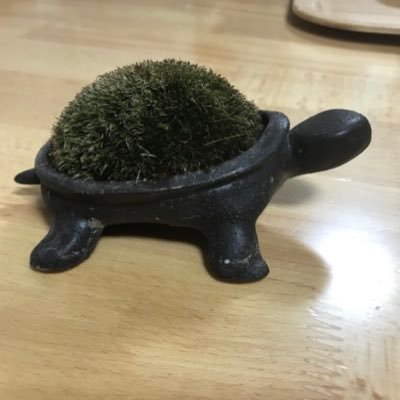 クサガメの一直くん Kameittyokusen Twitter