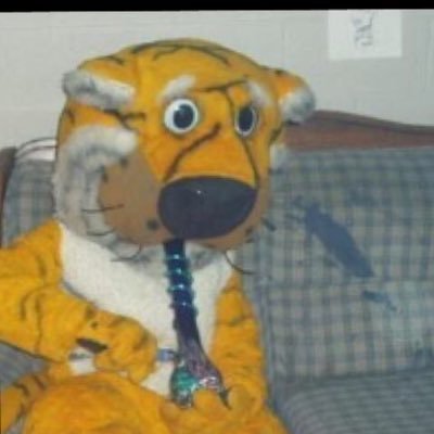 Bluesfan_weedmn's profile picture. STL