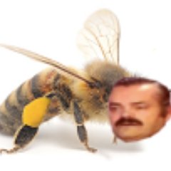 J'ai chaud, mais si j'ouvre la fenêtre, les insectes rentrent. Bougnadair.