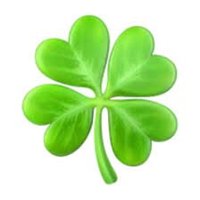 🍀🍀🍀🍀🍀🍀🍀🍀🍀🍀🍀🍀🍀🍀🍀🍀🍀🍀🍀🍀🍀🍀(@fuckin_clover) 's Twitter Profile Photo