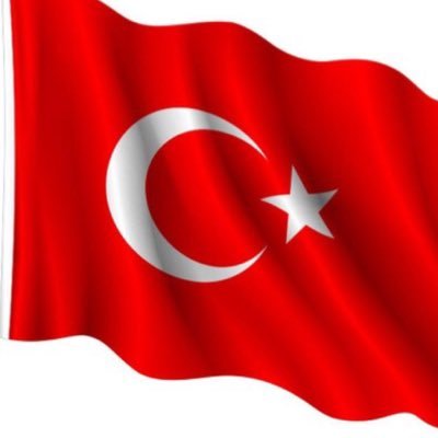 zeynepturann44's profile picture. 