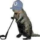 CMe_SdnVly's profile picture. Fun luvin' golfer at the Sudden Valley Golf Course. http://t.co/289DLt6RNb