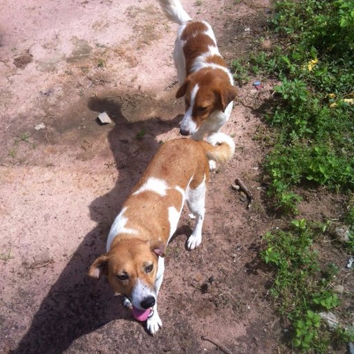 Buba90414510's profile picture. 