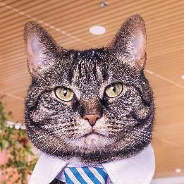 Loki74224934's profile picture. I'm a sales in ATL Shipping (China) Limited. We aim to provide professional global transportation by sea and air, with a strong agent network over the world.