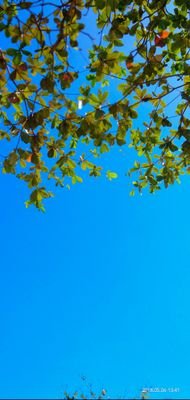 ThinkDeep8's profile picture. 