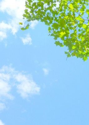 146elemon's profile picture. ありがとうございました