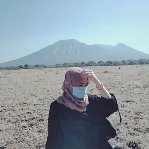 pil_ipil's profile picture. Universitas Negeri Malang - Physics