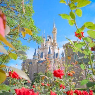 shiten3912's profile picture. 成人（20↑）高卒済み 無言フォローすみません🙇‍♀️