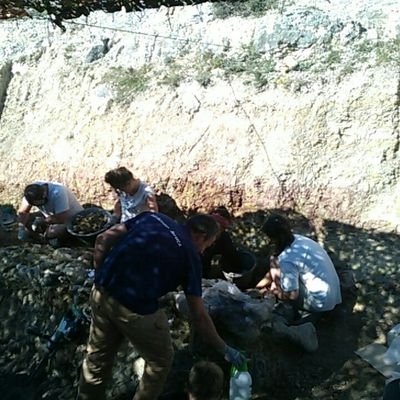 Informamos de las XV, XVI, XVII y XVII campañas de excavaciones Paleontológicas en Sierra de la Demanda y los restos de dinosaurios. Provincia de Burgos. España