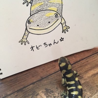 taeko0203's profile picture. 動物全般好きです🐶🦎🐸
気に入った方への無言フォロー失礼します🙇‍♀️
