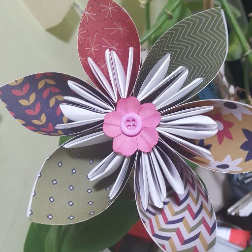 LLSCcommunity's profile picture. Improving lives through adult education. Offering CEIAGE to learners in all our centres across Sheffield.  ❤️To Learn #AdultLearning