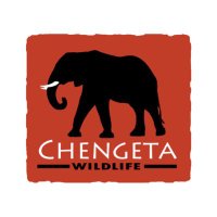 Chengeta Wildlife (@chengetawild) 's Twitter Profile