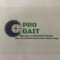 PRO GAIT (@progait_rise) 's Twitter Profile