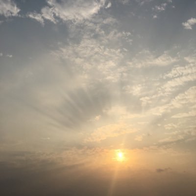 Cheng30823's profile picture. Ios11.4