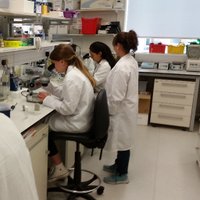 Soton BioSci CORE (@sotoncore) 's Twitter Profile