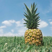 👑くぽーぬ🍍🌞 (@geeena35) 's Twitter Profile