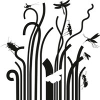 Insect Biome Atlas(@insectbiomatlas) 's Twitter Profile Photo