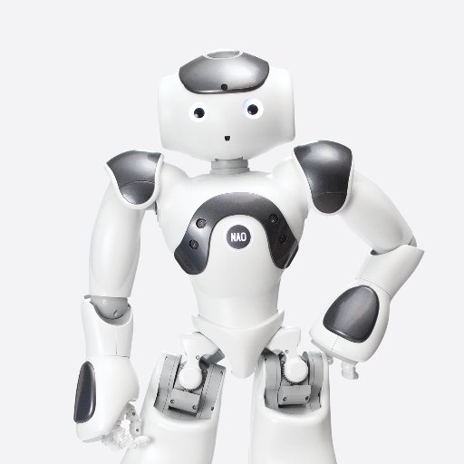 I'm NAO, a programmable humanoid robot created by @AldebaranRobots part of @united_robotics. 
Official soccer player @RoboCupSPL
Friend of @PeppertheRobot