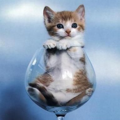 ganba_hiroshima's profile picture. 2018年7月豪雨災害から始動。 
夫婦で災害ボランティア活動中。
情報収集が主のアカウントです。

災害支援団体 RE:BIRTH
Animal_Lifeline RE:BIRTH