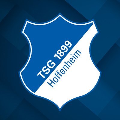 Perfil do 1899 Hoffenheim na @league360online - Série 🅰️ / Manager: diegodegBR 🎮⚽️