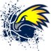 LCCCWomen'sBBall (@LCCCWBasketball) Twitter profile photo