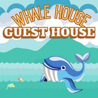 Whale House Guest House 🐳 🏡(@WhaleHouseNL) 's Twitter Profile Photo