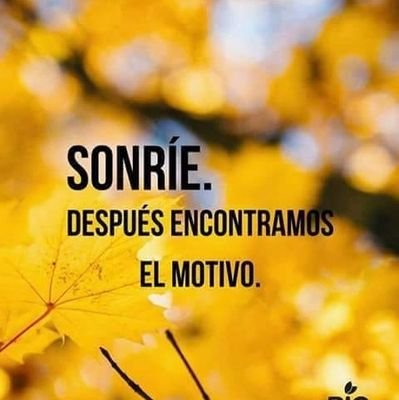 satsenorte's profile picture. Madrid