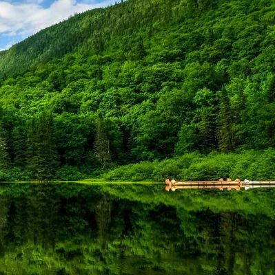 B3H0fNjygwSHWC8's profile picture. 