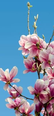 fobb071's profile picture. 