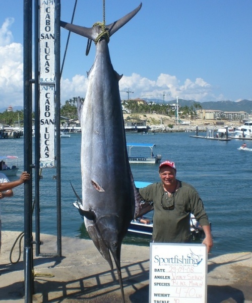 marlinfishing1's profile picture. Marlin fishing instructor