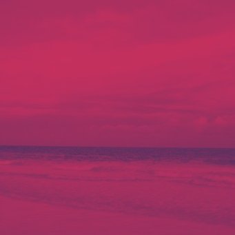 Zyu36577110's profile picture. 