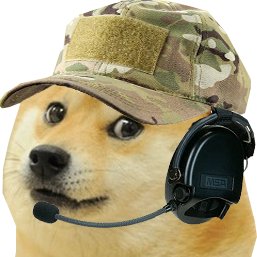 ashih42's profile picture. Good morning, friends!