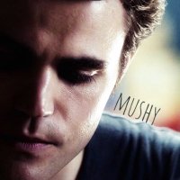 FlowerBoy Salvatore (@mushystefan) 's Twitter Profile