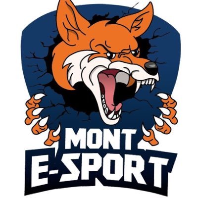 EsportMont's profile picture. Association organisant des LAN sur différents jeux, sur la commune de MontVal Sur Loir.