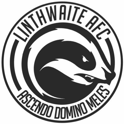 Linthwaite Badgers