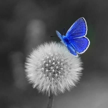 SueMeunier5's profile picture. I am a mother and grandmother who loves to craft, paint and make time to be with loved ones.