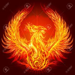 Overwatch Manager at Iowa State, 2nd Year Mechanical Engineering Student