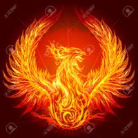 YupYup (@joaquinfitzsim1) 's Twitter Profile