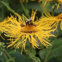 Simon Stansfield (@a37gnome) 's Twitter Profile