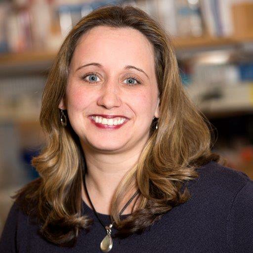 Bacterial geneticist focusing on #Shigella, #enterics & #phage,
using host signals & #organoids to study pathogenesis. Assist Prof @USUhealthsci, views my own