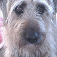 🤍✝️ Mark Fuller 🏈 ⚾️ (@markfuller86) 's Twitter Profile