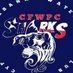 Cypress Fairbanks Water Polo Club (@cfwpcsharks) Twitter profile photo