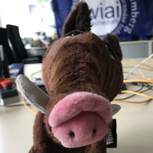 fooboar's profile picture. Ich bin das Maskottchen der @FachschaftWIAI