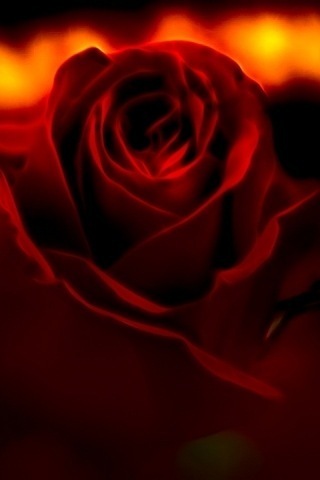 boriboris's profile picture. 내표는 내맘!