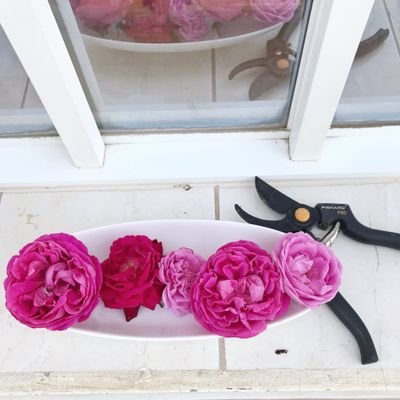 Sky9_____i's profile picture. الحمدلله، الله أكبر، أستغفرالله، سبحان الله وبحمده سبحان الله العظيم.