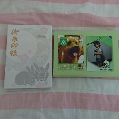 Mmisaka123's profile picture. TaiwanENL Biogresser 不激進ㄊㄉㄈㄓ一枚😘