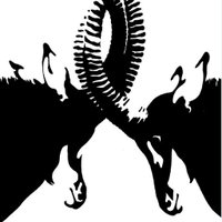 IUCN SSC Antelope Specialist Group (@antelopesg) 's Twitter Profile Photo IUCN SSC Antelope Specialist Group (@antelopesg) 's Twitter Profile Photo