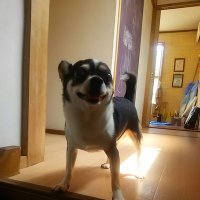 横尾公敏 (@yokookimitosi) 's Twitter Profile Photo 横尾公敏 (@yokookimitosi) 's Twitter Profile Photo